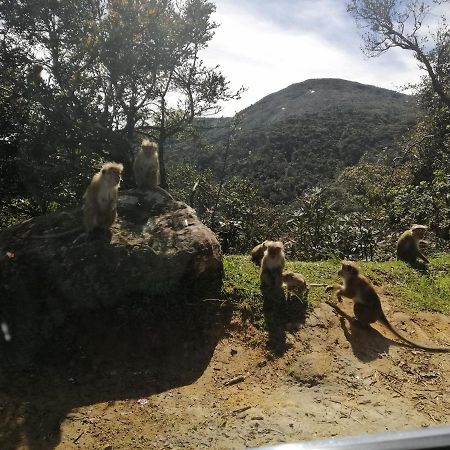 Aerizo Bungalow & Tours Nuwara Eliya Zewnętrze zdjęcie
