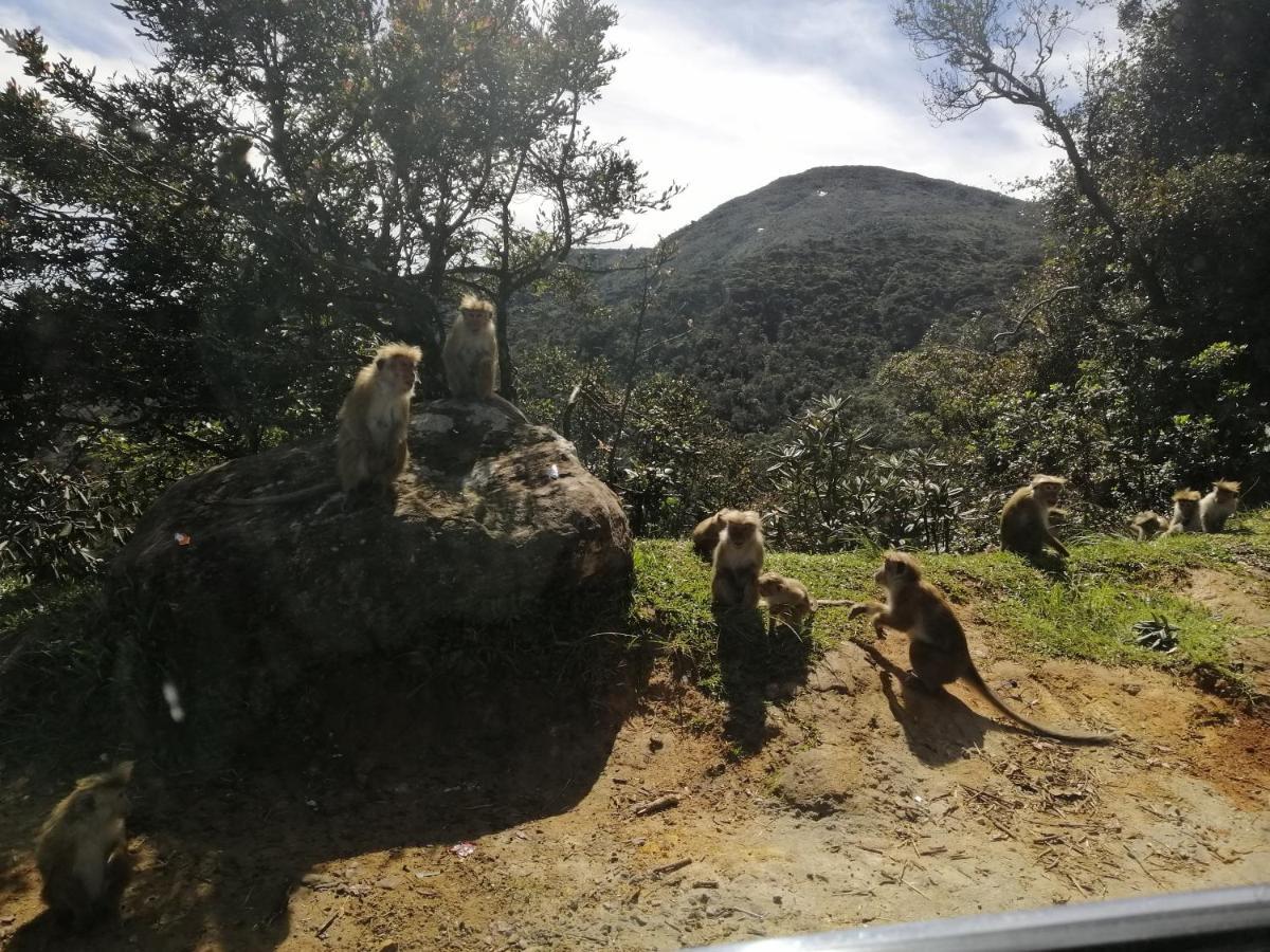 Aerizo Bungalow & Tours Nuwara Eliya Zewnętrze zdjęcie